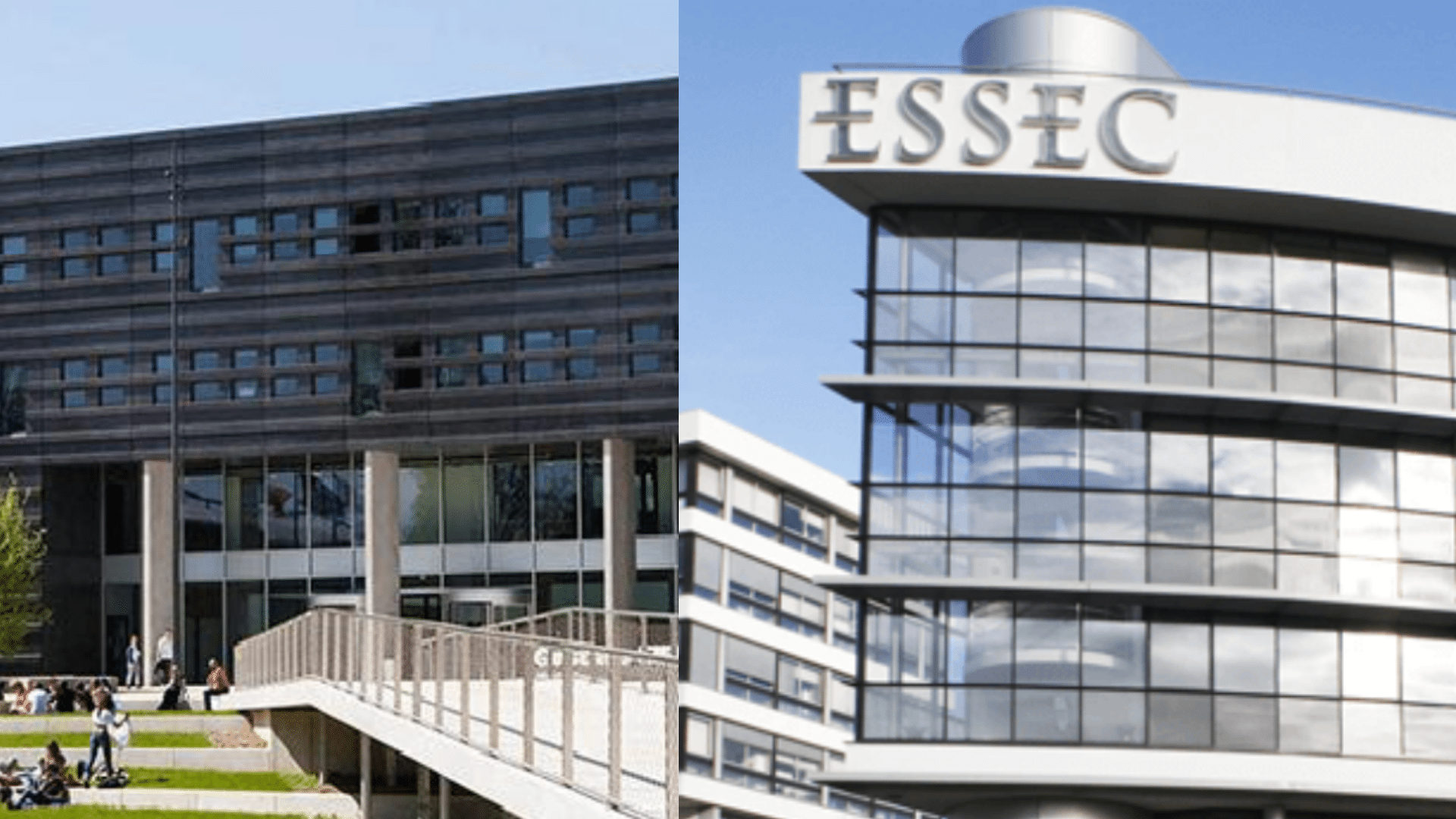 Rencontre avec Alexandre, étudiant en double diplôme ESSEC & CentraleSupelec Rencontre avec Alexandre, étudiant en double diplôme ESSEC & CentraleSupelec