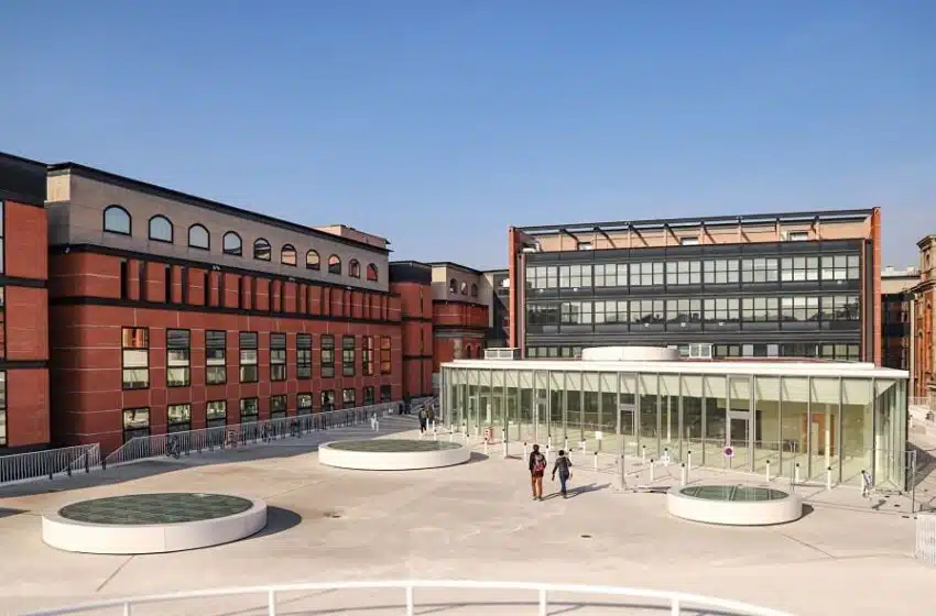 La data culture au cœur du PGE de l&rsquo;EM Strasbourg