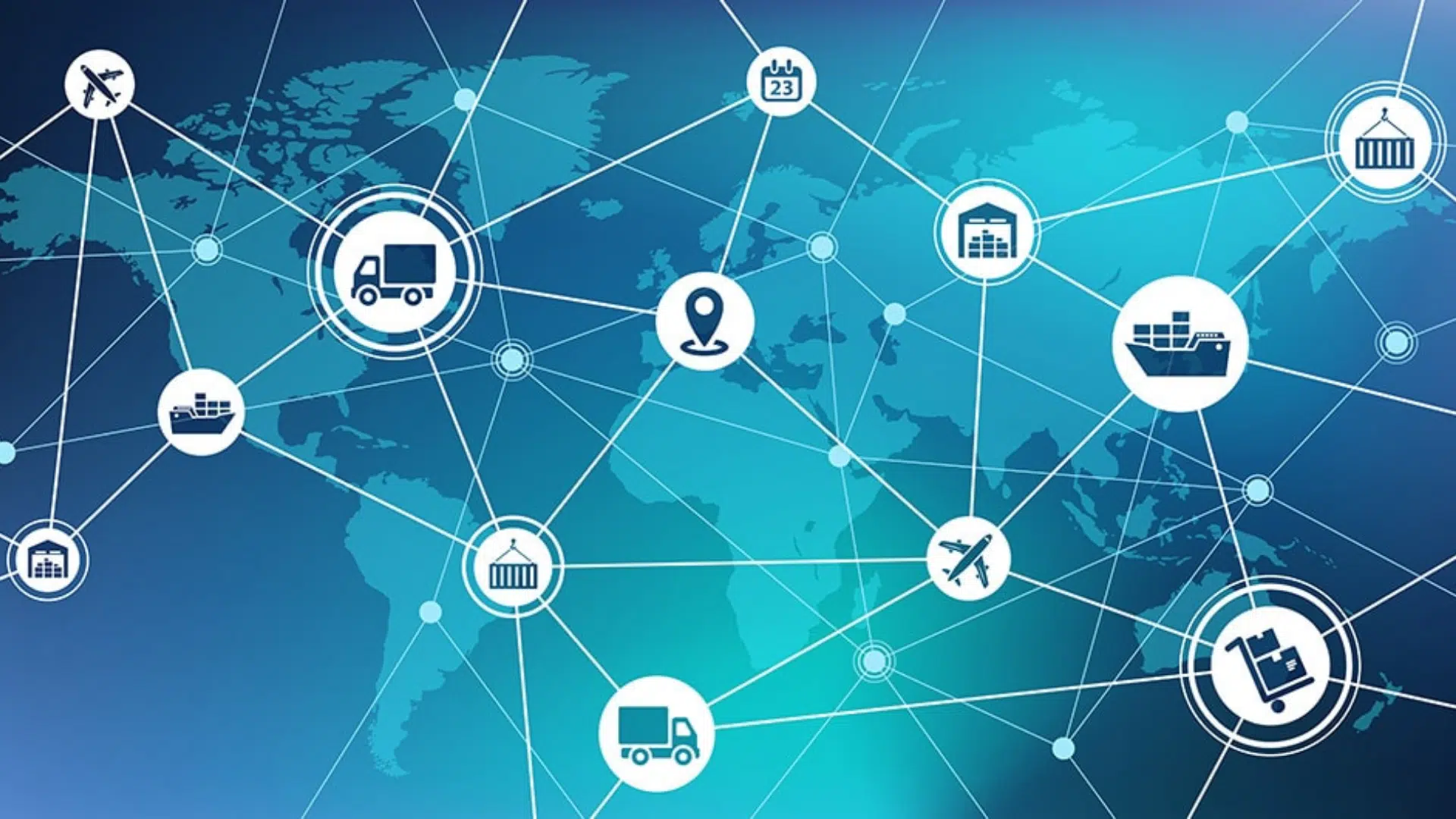 Rencontre avec Théodora Keravec, manager de transition supply chain