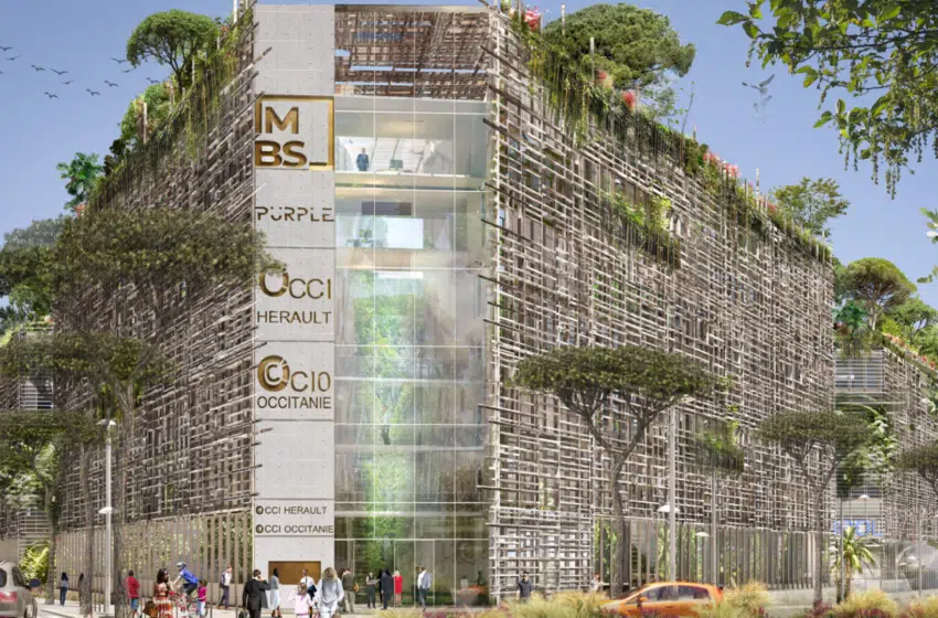 Un rooftop à MBS ? Découvrez le projet Nouveau Campus