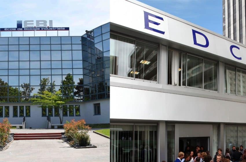  Le double diplôme de EDC Paris Business School et EBI