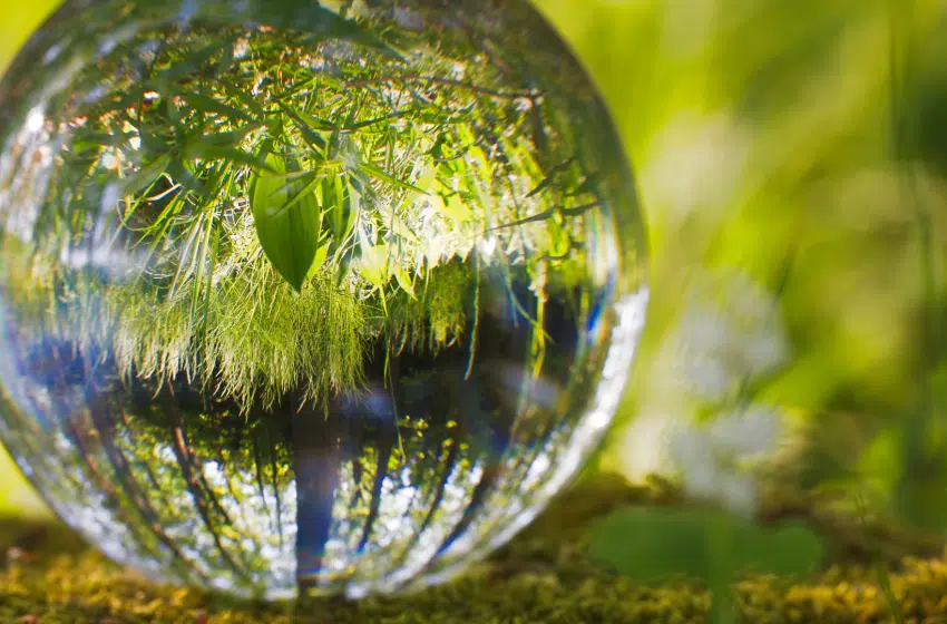 Interview d&rsquo;Arthur Auboeuf, co-fondateur de Time for the Planet
