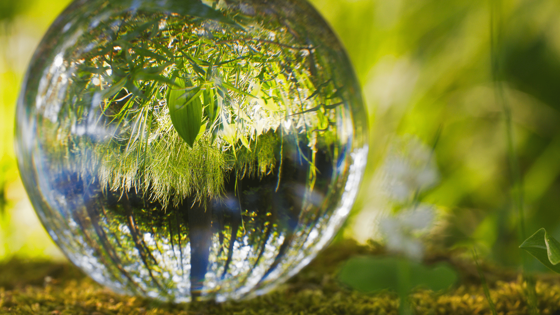 Interview d&rsquo;Arthur Auboeuf, co-fondateur de Time for the Planet