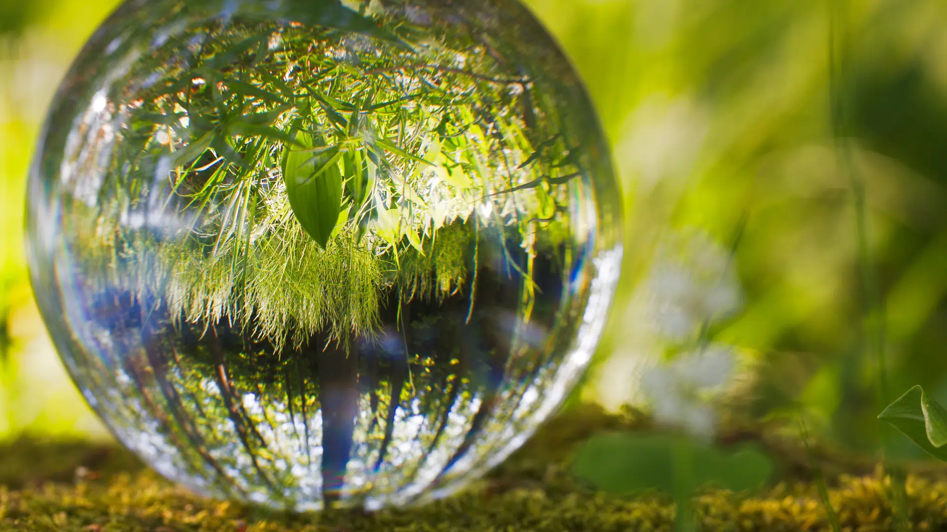Interview d&rsquo;Arthur Auboeuf, co-fondateur de Time for the Planet
