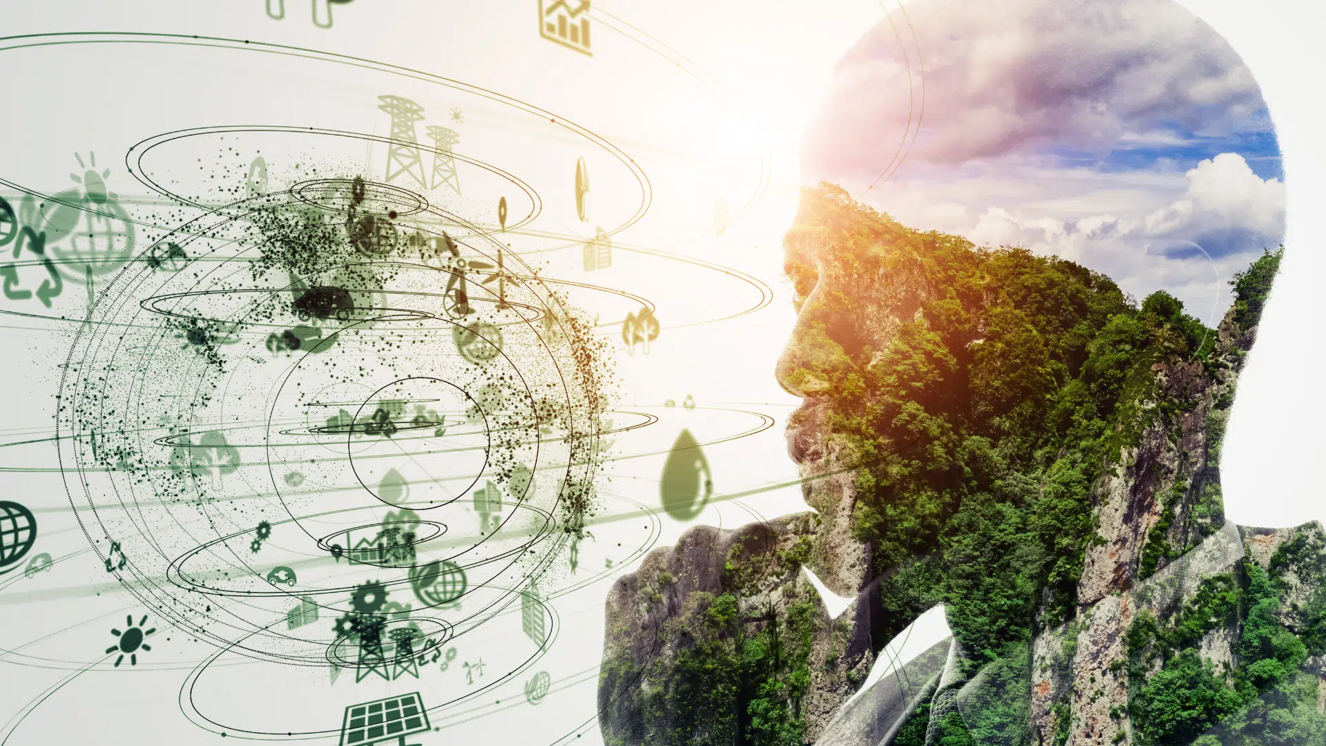 Études : travailler dans le développement durable après un Master