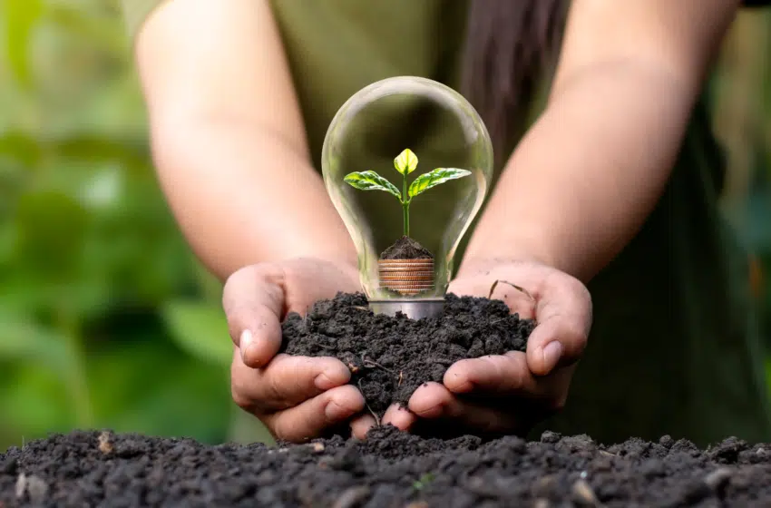 Audencia s&rsquo;engage en faveur de la transition écologique