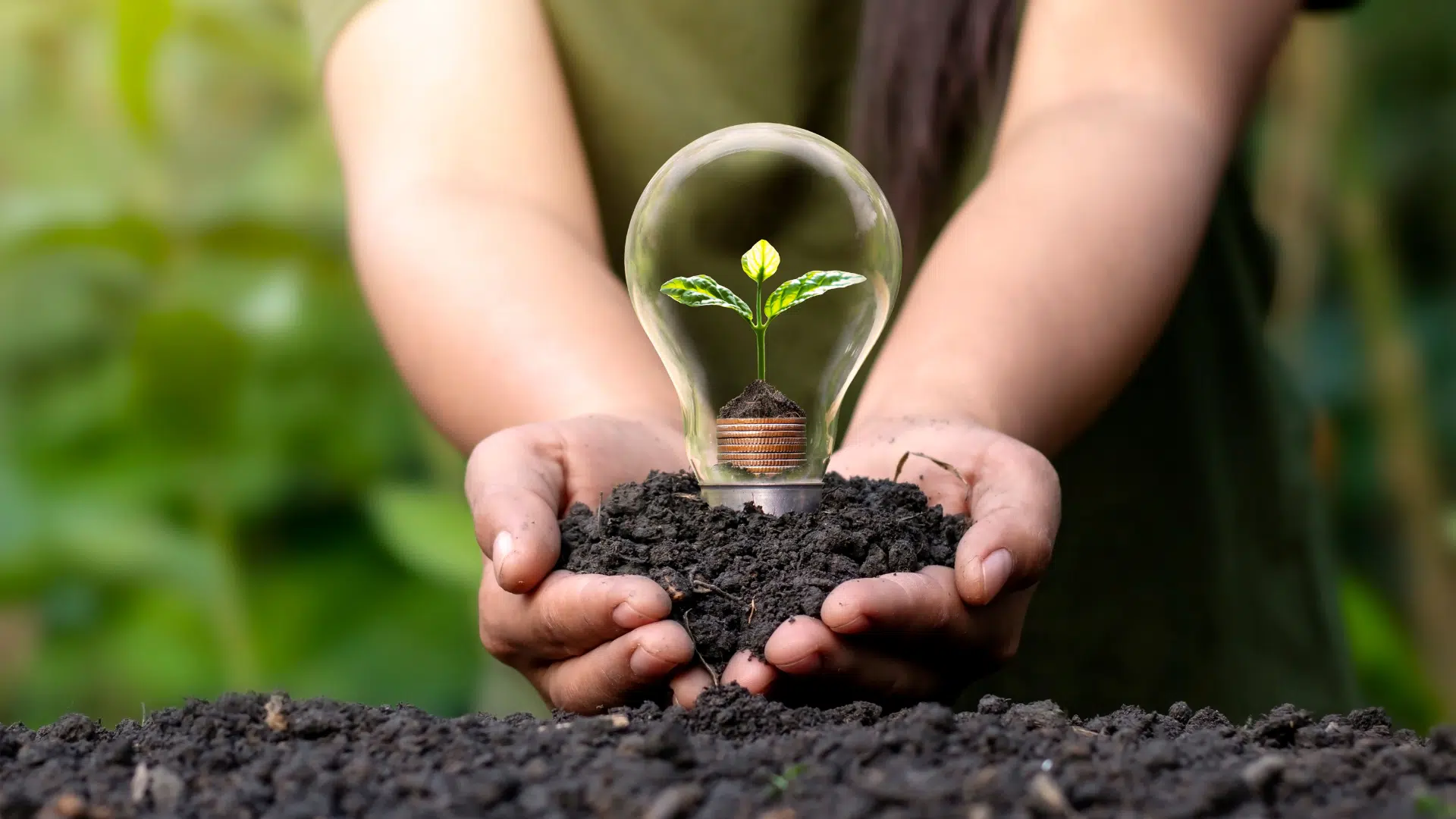 Audencia s&rsquo;engage en faveur de la transition écologique