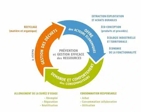 L&rsquo;économie circulaire : Mirage ou réalité ?