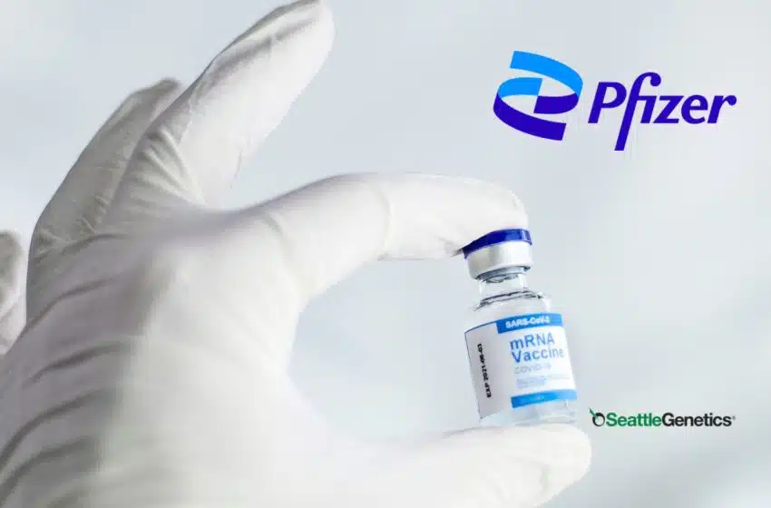 Traitement contre le cancer : Pfizer rachète Seagen