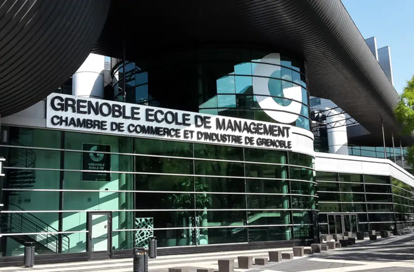 De GEM à la création de SWEN : interview avec Théophile Gucia