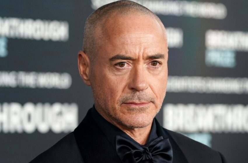 Robert Downey Jr : Parcours, carrière et fortune