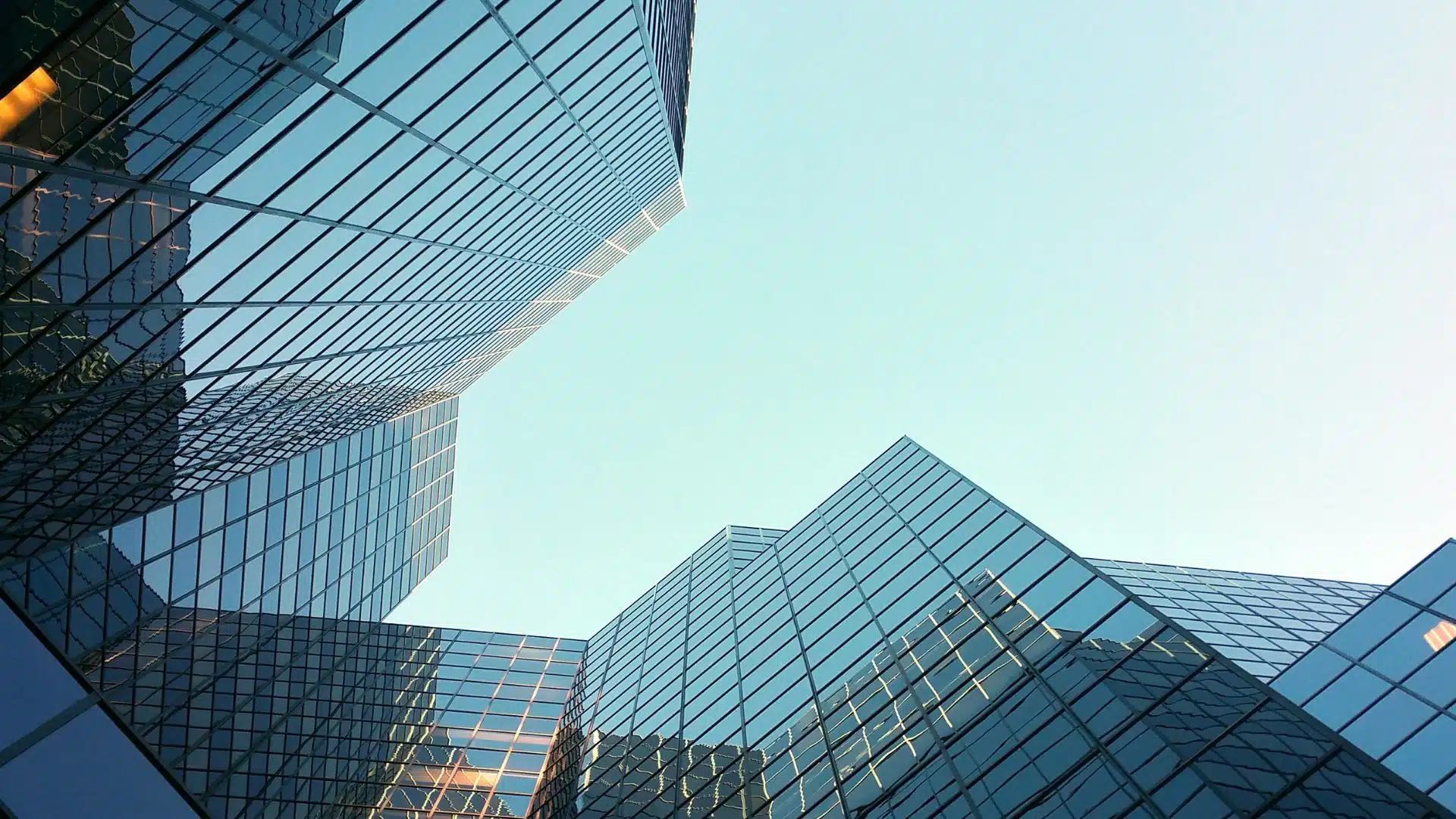 Le dossier SFR : salaires, processus de recrutement, projets