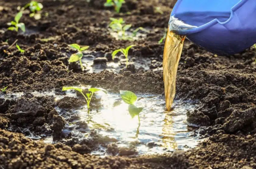 Toopi Organics boucle une levée de fonds de 11 millions d’euros