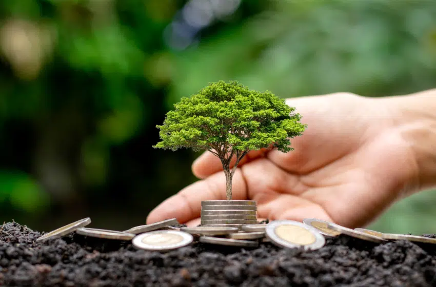 Les 5 MOOC&rsquo;s à faire pour éviter le greenwashing