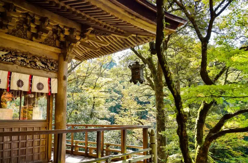 Quelques concepts japonais pour une vie épanouie