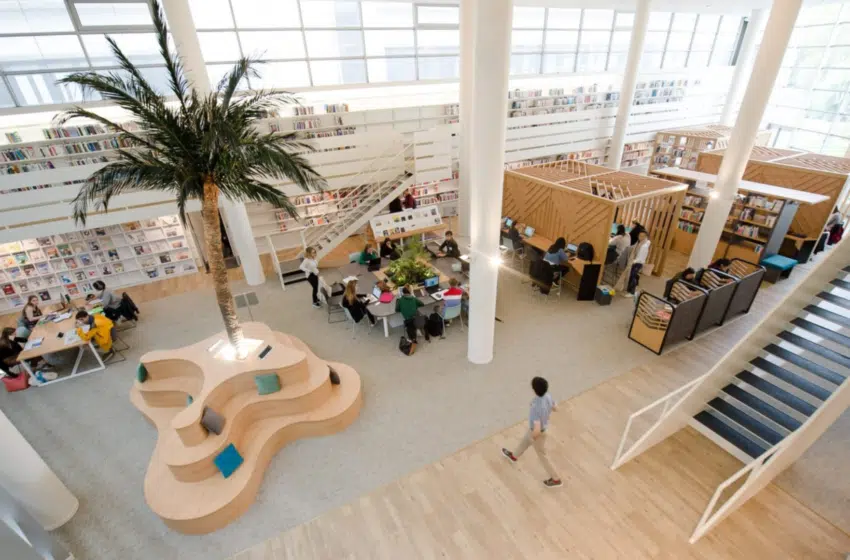 Programme Grande Ecole : l’apprentissage, une expérience enrichissante à Audencia