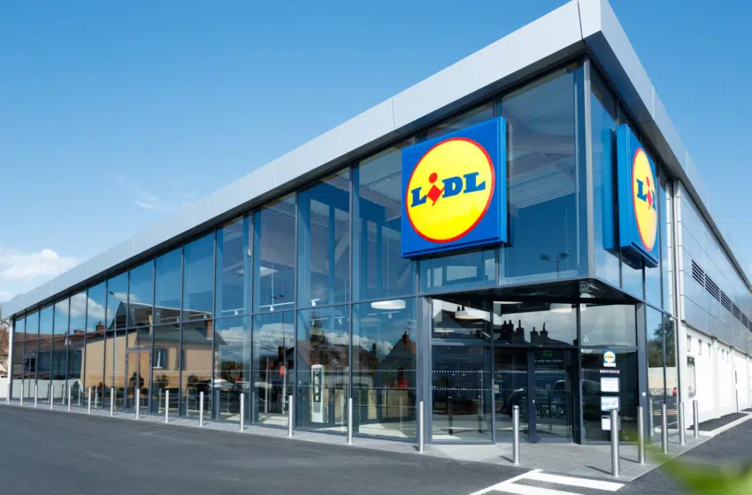 Le dossier LIDL : salaires, processus de recrutement, carrière