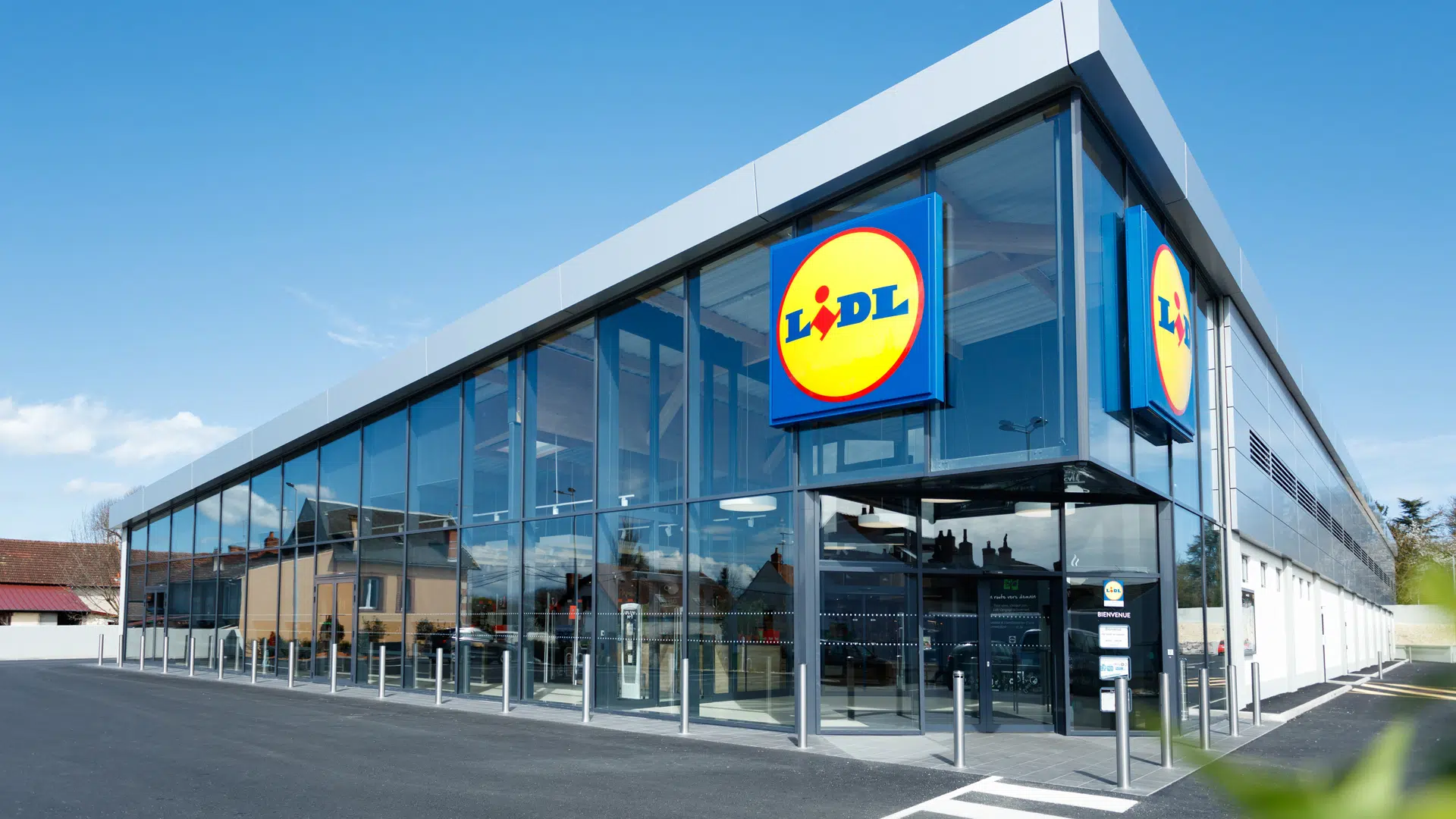 Le dossier LIDL : salaires, processus de recrutement, carrière