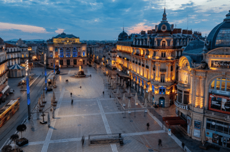 Montpellier : atouts et avantages, histoire et culture, Grandes Ecoles et entreprises implantées