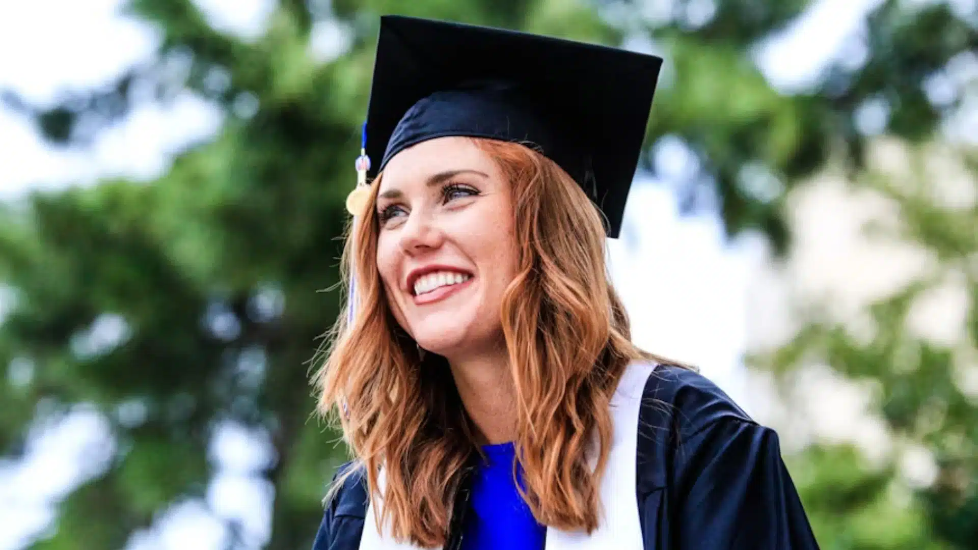 V.I.E ou Graduate Program : que choisir une fois diplômé ?