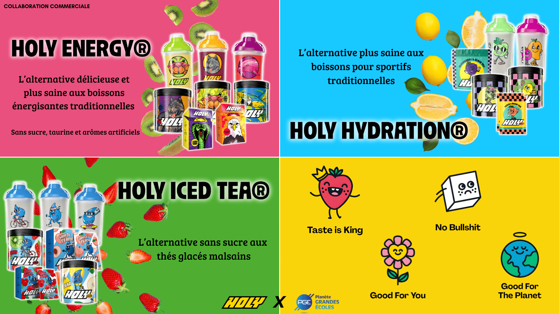 Rencontre avec Taoufiq Bortai, Country Manager chez Holy - PGE