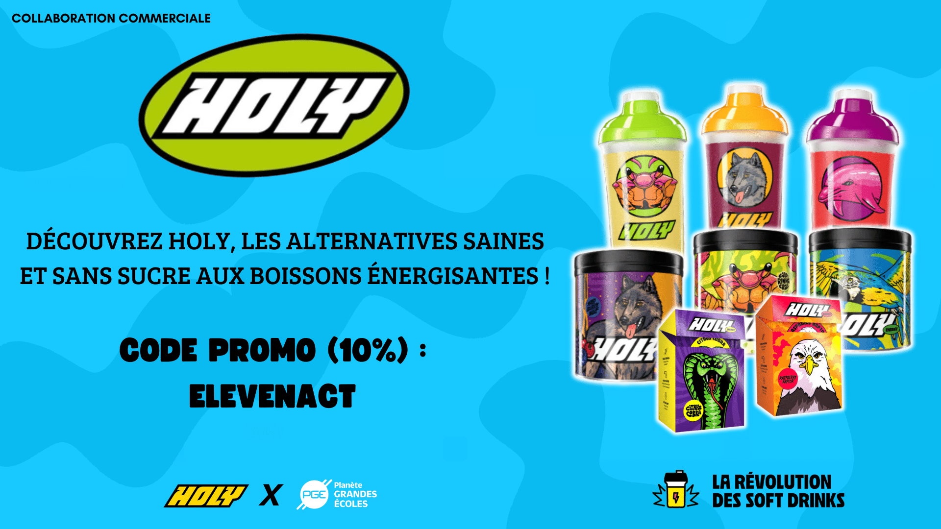 Rencontre avec Taoufiq Bortai, Country Manager chez Holy - PGE