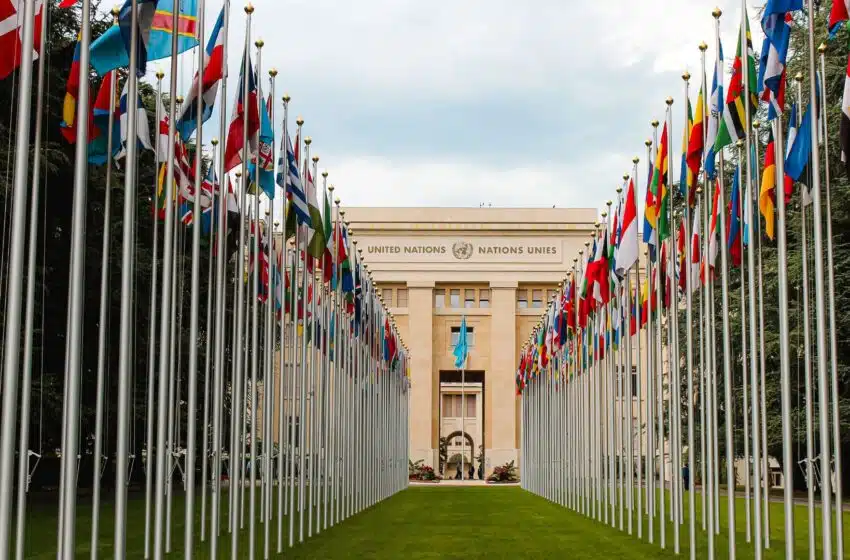 Travailler au sein d&rsquo;organisations internationales en V.I.A