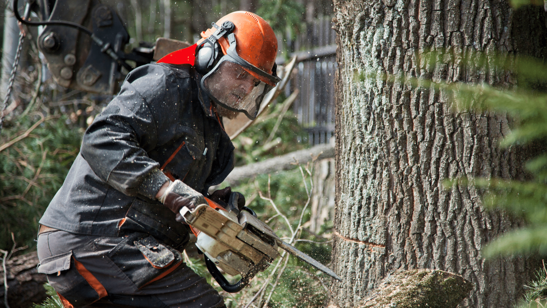 Réenchanter les métiers de la forêt et du bois