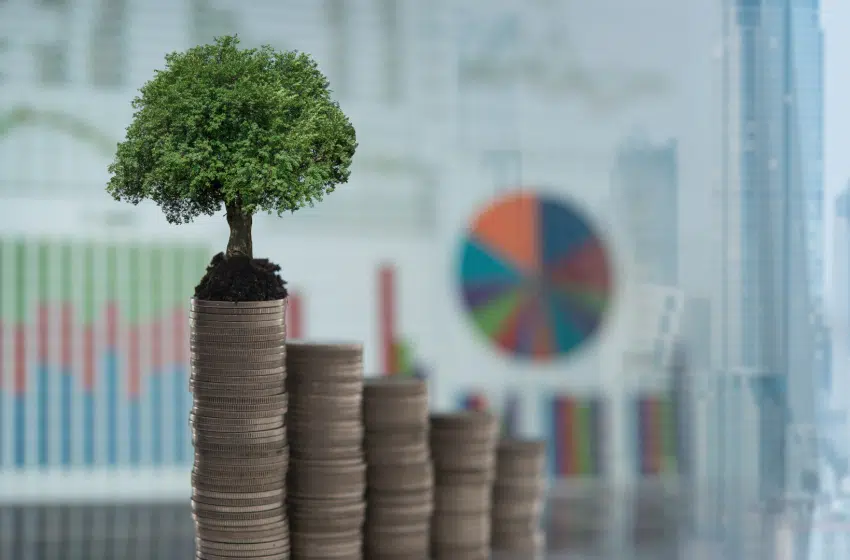 Les masters en finance durable : greenwashing ou progrès ?