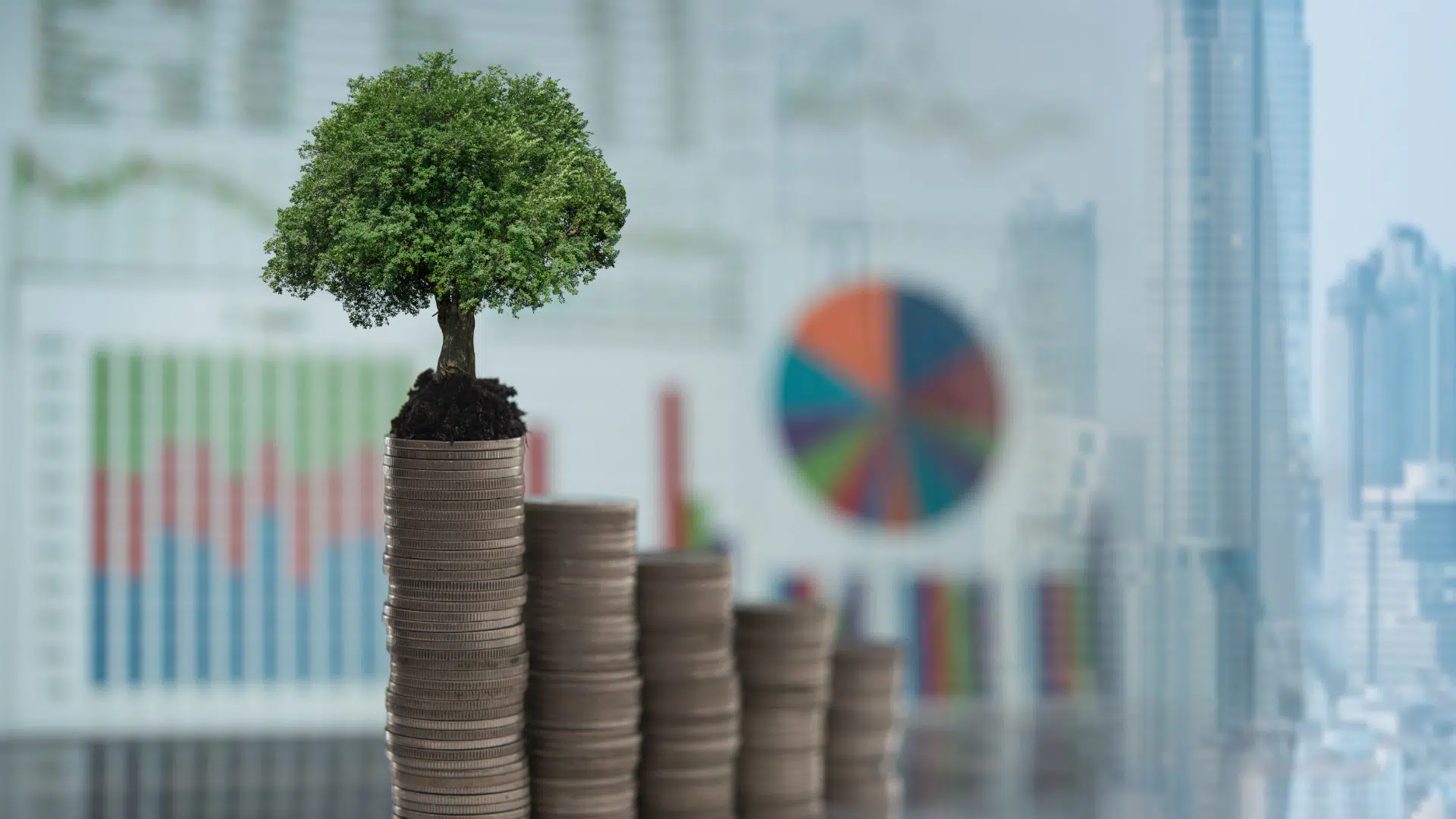 Les masters en finance durable : greenwashing ou progrès ?