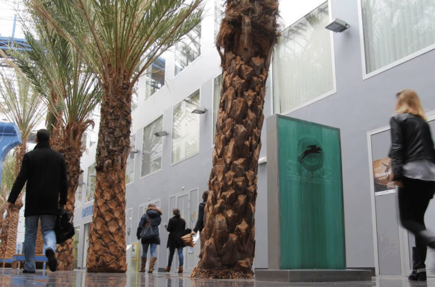 Qu’est-ce qui différencie Rennes School of Business des autres écoles de management ?