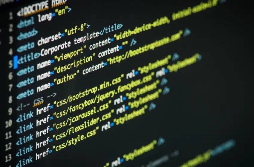 Développeur web : Pourquoi cette carrière est idéale pour l&rsquo;avenir numérique ?