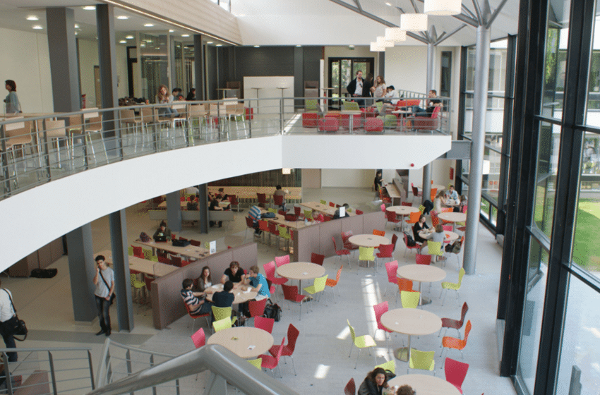 ESSEC BUSINESS SCHOOL GOUVERNANCE