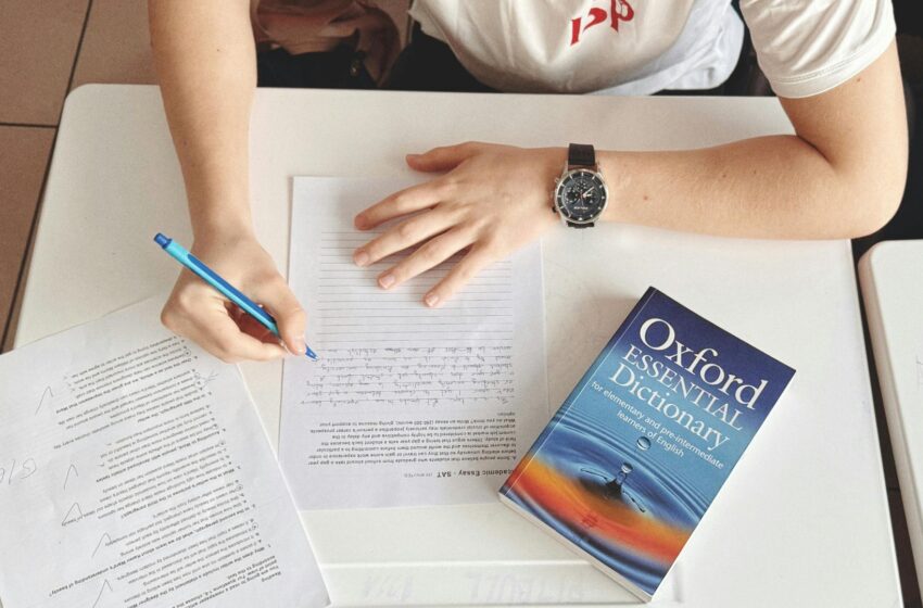  Travailler à l’international sans parler parfaitement anglais : mission impossible ?