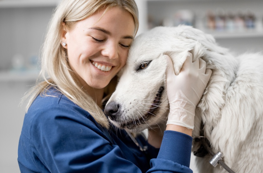 TRAVAILLER MONDE VETERINAIRE ENTRE PASSION RIGUEUR