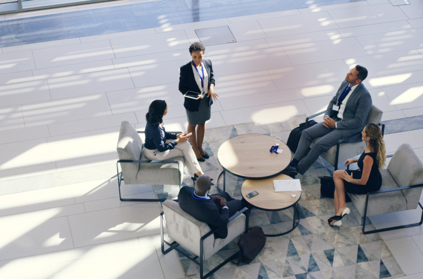  Quelles études ont fait les DG des Business Schools françaises ?