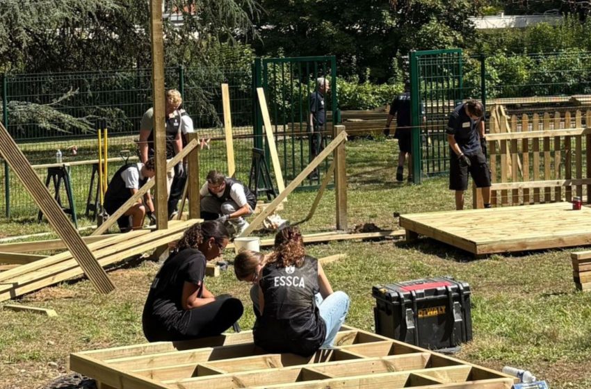  IMPACT ESSCA : une rentrée solidaire et engagée  pour 1 600 étudiants de 1ère année !