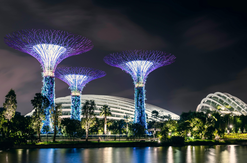  Vendre, négocier, voyager : le quotidien de Valentine en tant que V.I.E Business Developer à Singapour