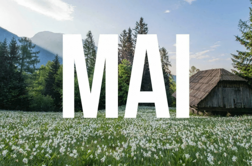 Comment optimiser son mois de mai au travail : tirer parti des jours fériés sans perdre en efficacité