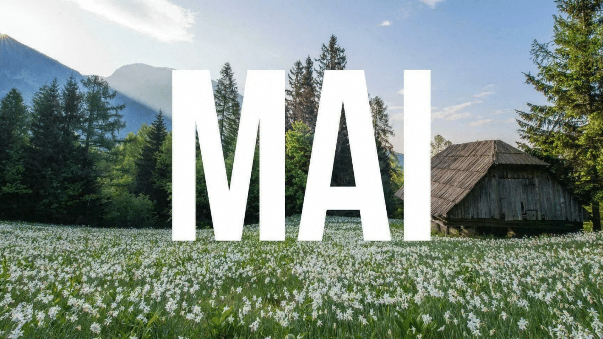 Comment optimiser son mois de mai au travail : tirer parti des jours fériés sans perdre en efficacité