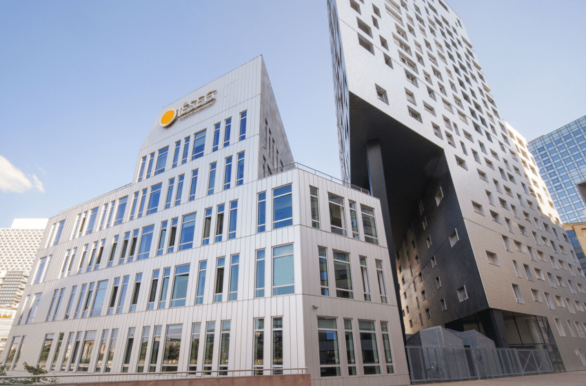 ieseg pedagogie international insertion pro