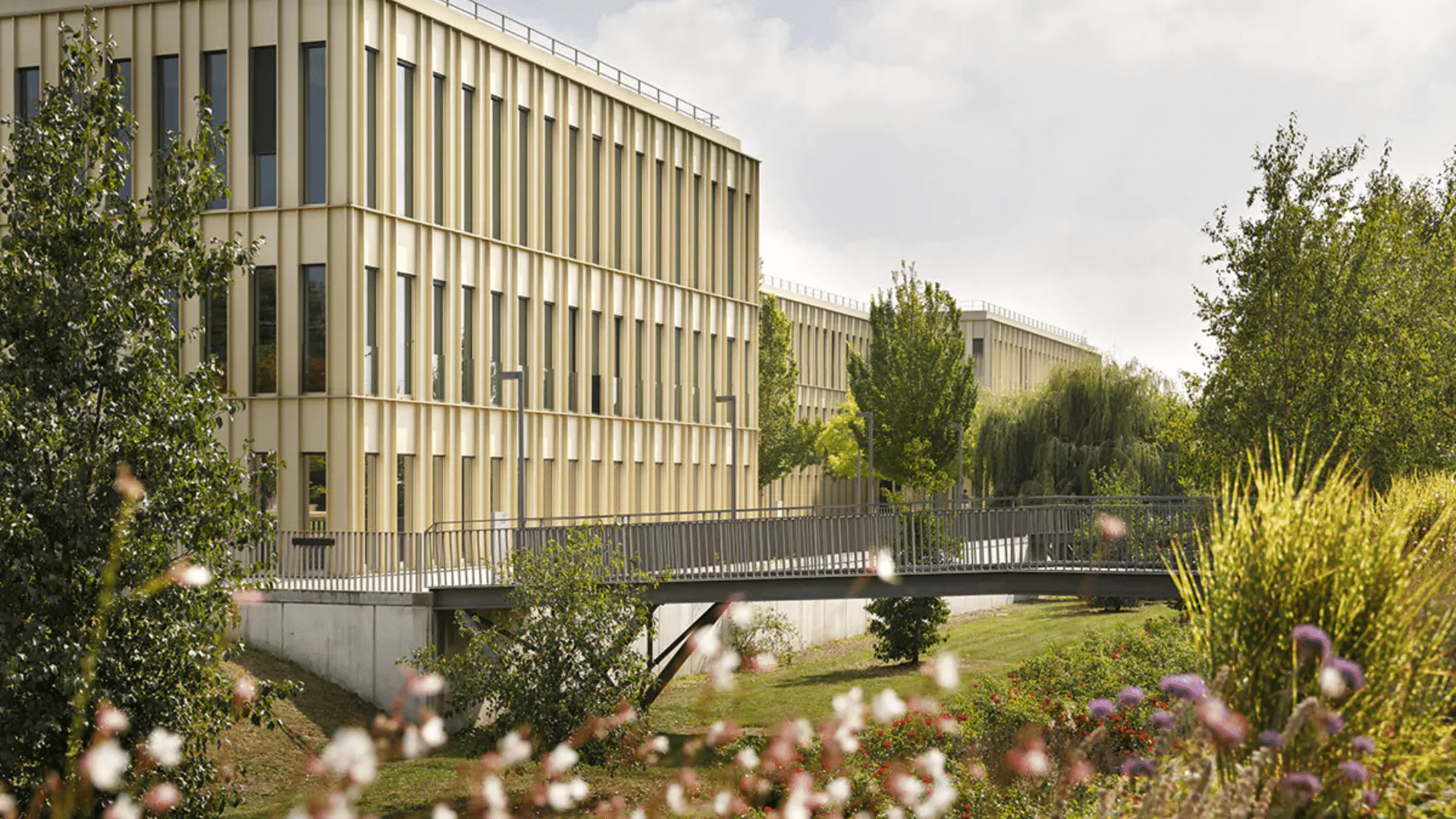 HEC Paris : 40 ans pour le premier programme de management des arts et de la culture en France