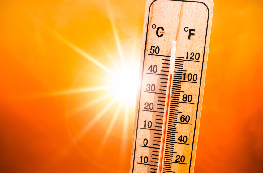  Canicule au travail : vos droits et les obligations de l’employeur