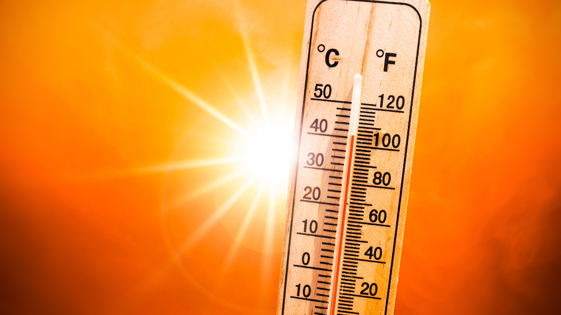  Canicule au travail : vos droits et les obligations de l’employeur