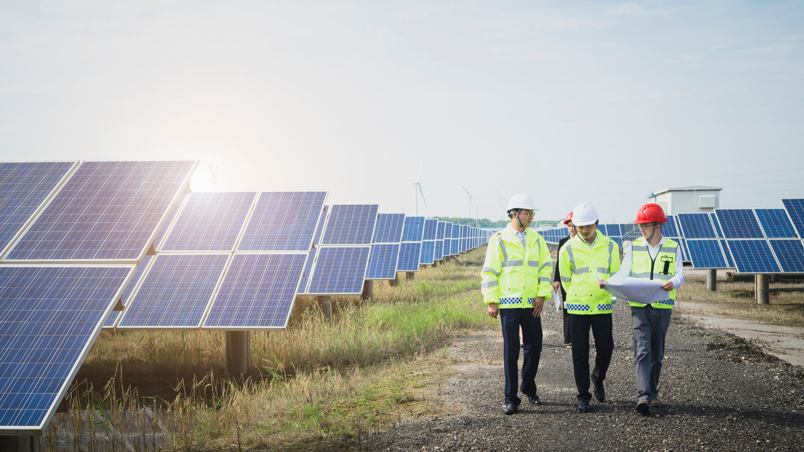  Métiers de la transition écologique : secteur, salaires et formations