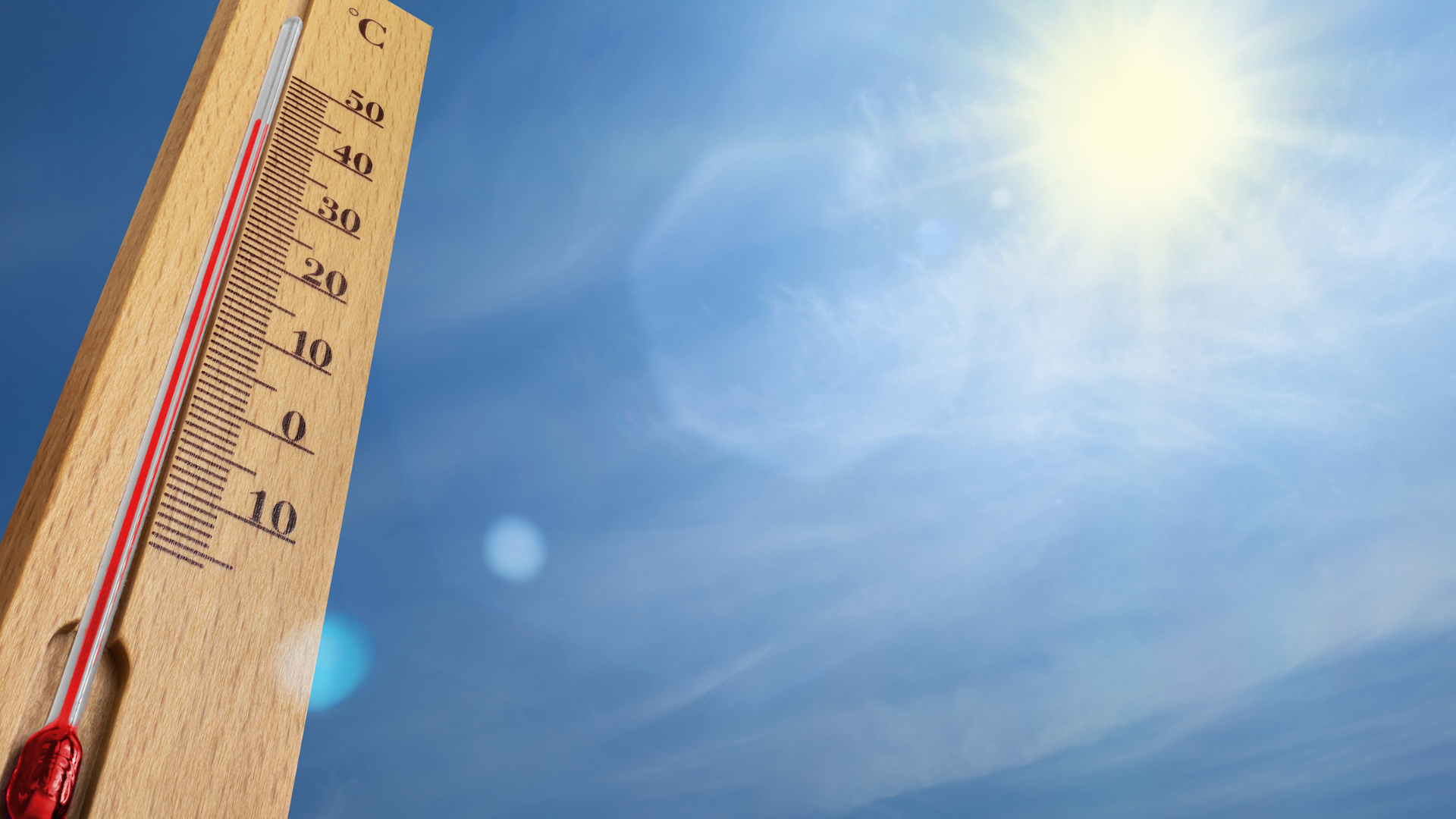  Canicule 2026 en France : records, vigilance et conseils pour se protéger