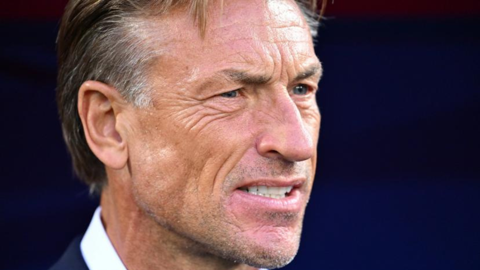  Hervé Renard : carrière, palmarès, salaire et avenir