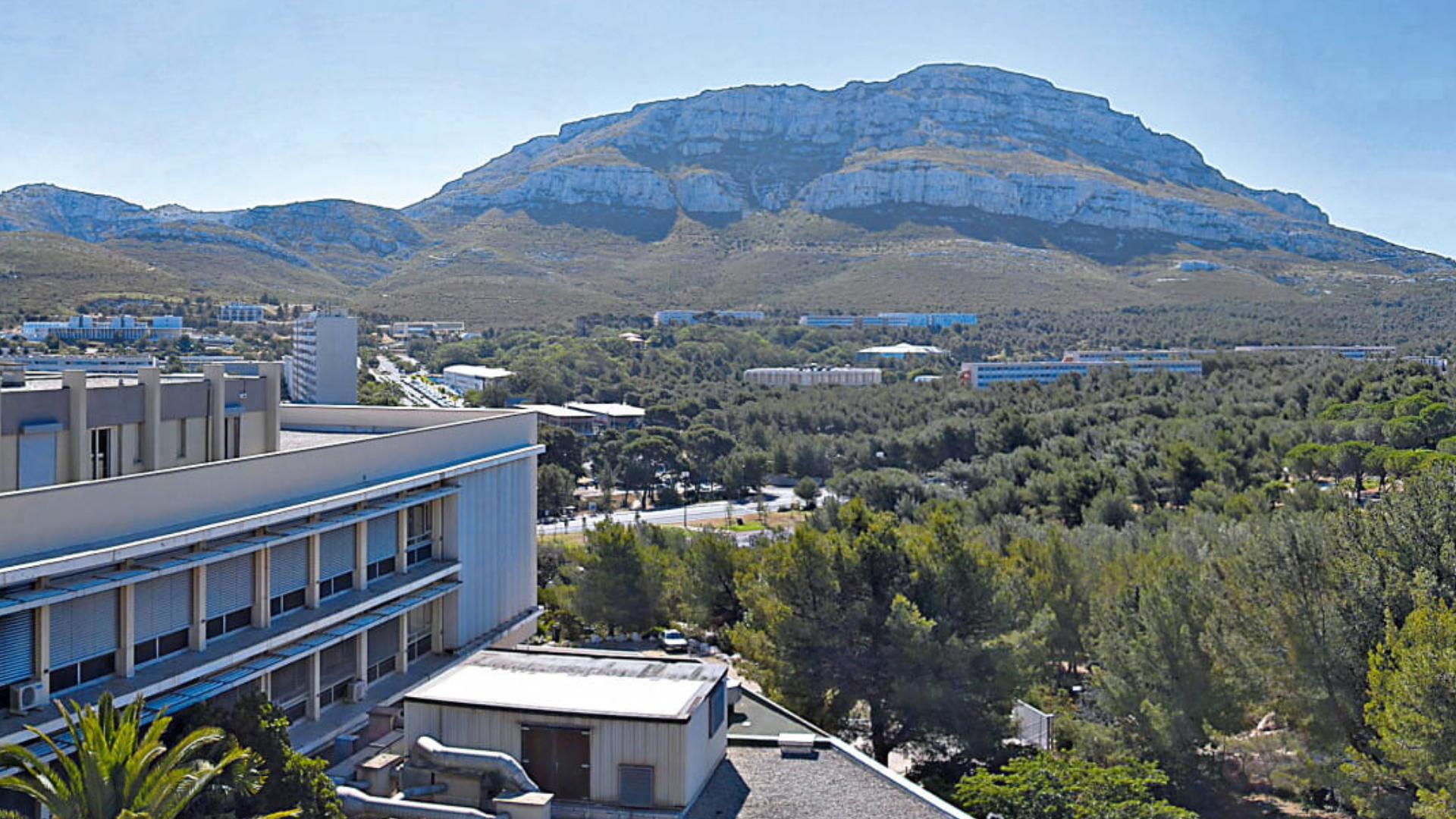  KEDGE Business School lance un consortium inédit de 13 grandes entreprises pour former les Business Developers de demain