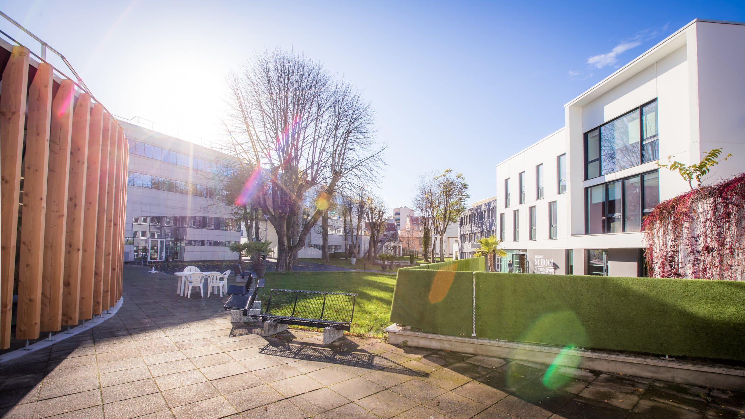 BSB et TTA lancent une école dédiée à la négociation complexe